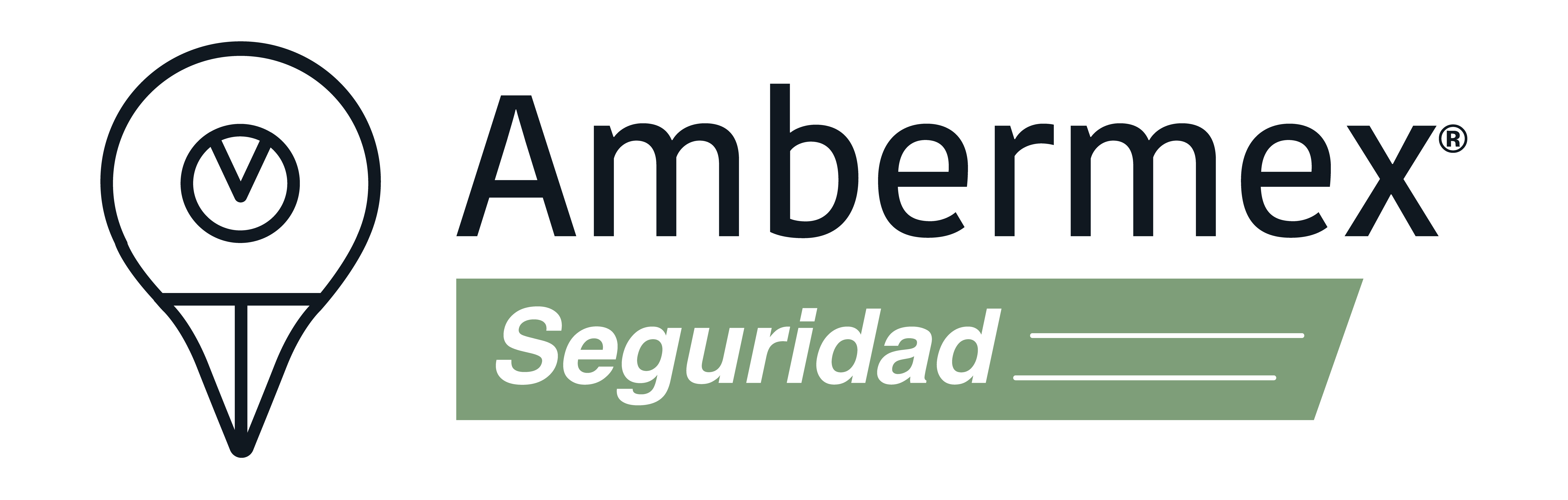 Ambermex Seguridad
