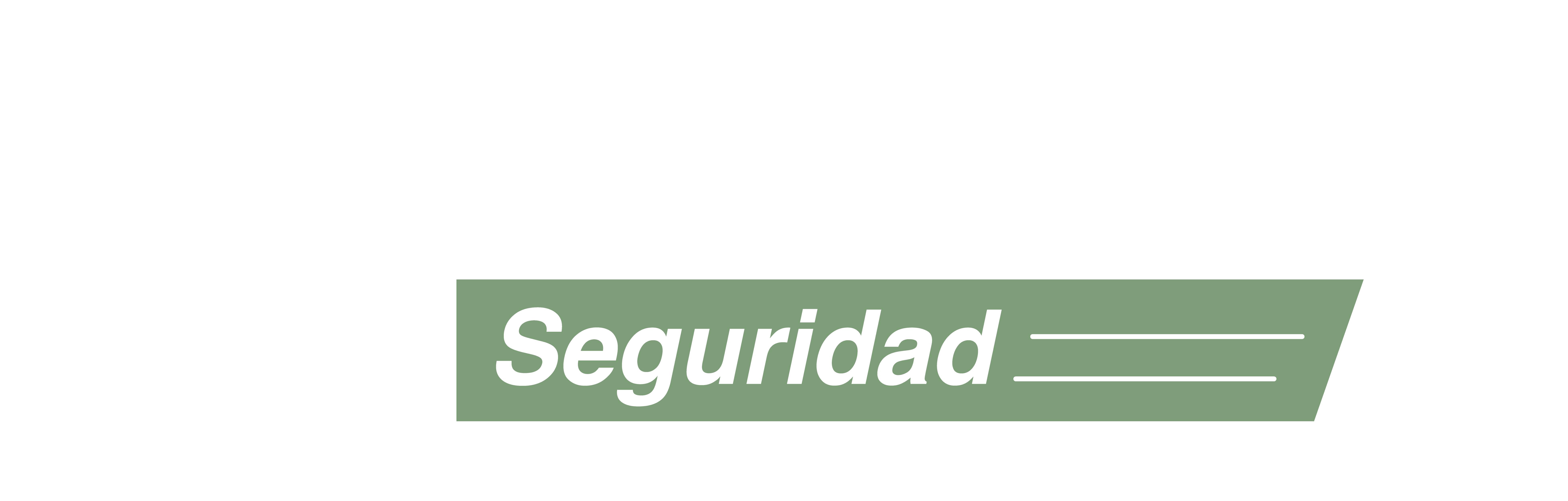 Ambermex Seguridad