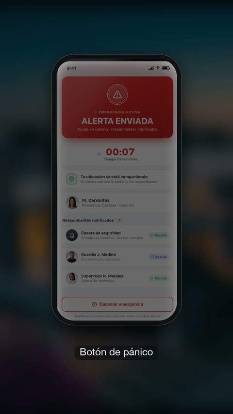 Ambermex Seguridad